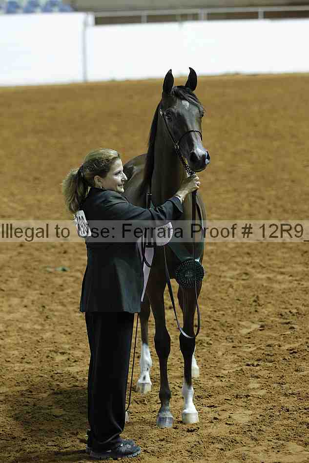 Proof 12r9_0151