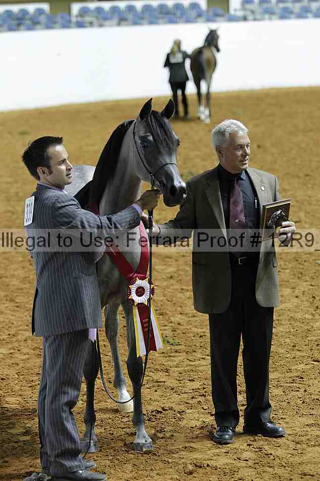 Proof 12r9_0155