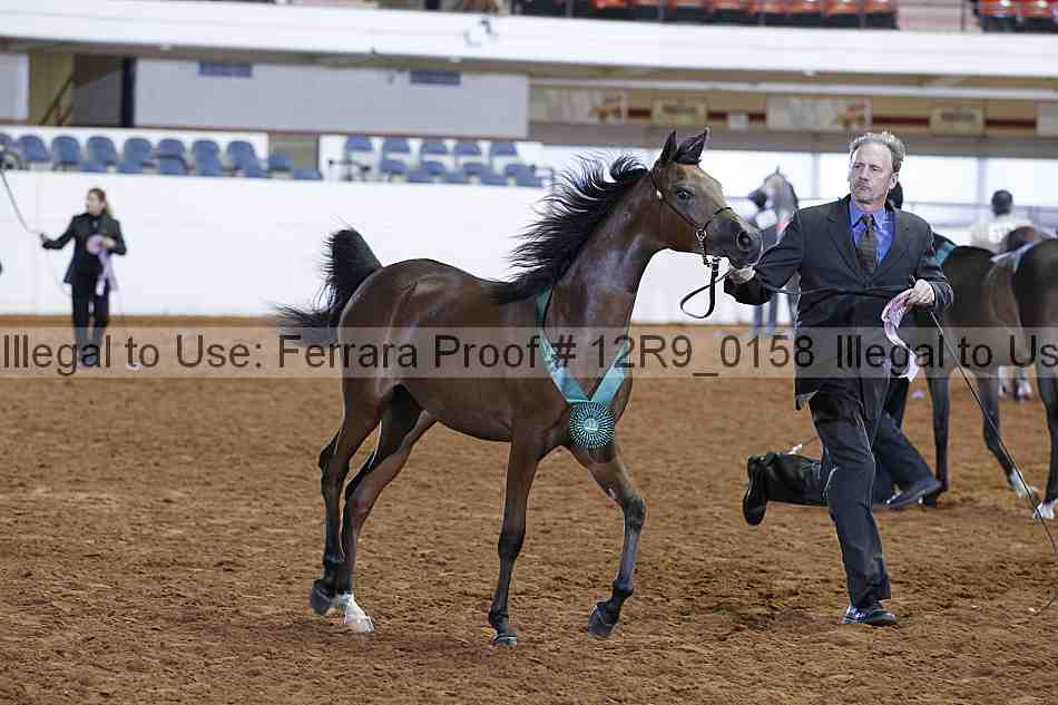 Proof 12r9_0158