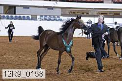 12r9_0158 proof