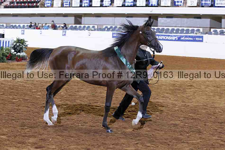 Proof 12r9_0163