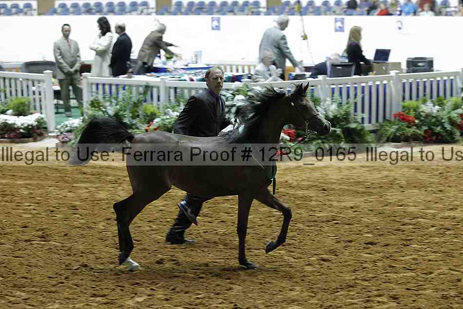 Proof 12r9_0165