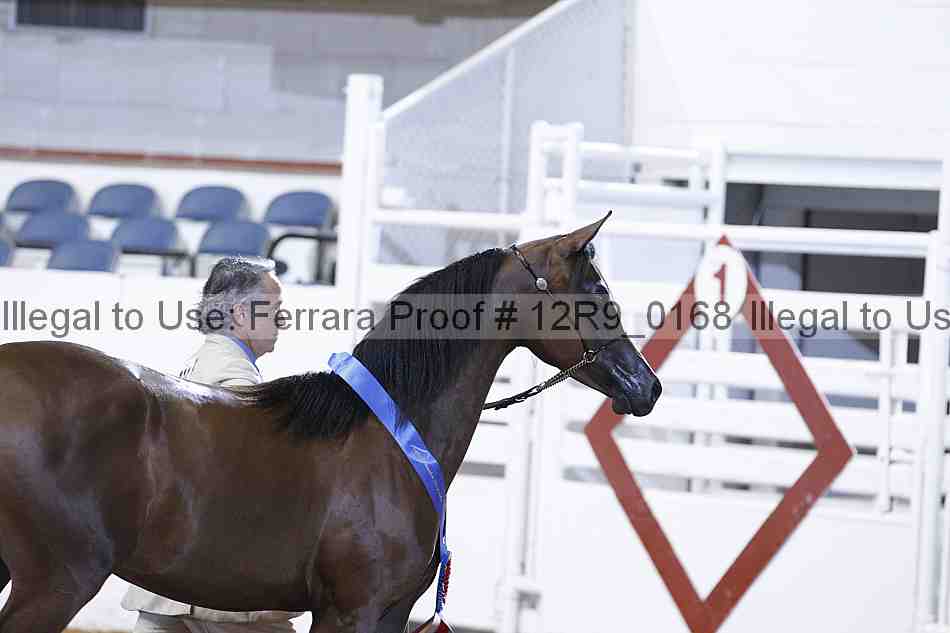 Proof 12r9_0168