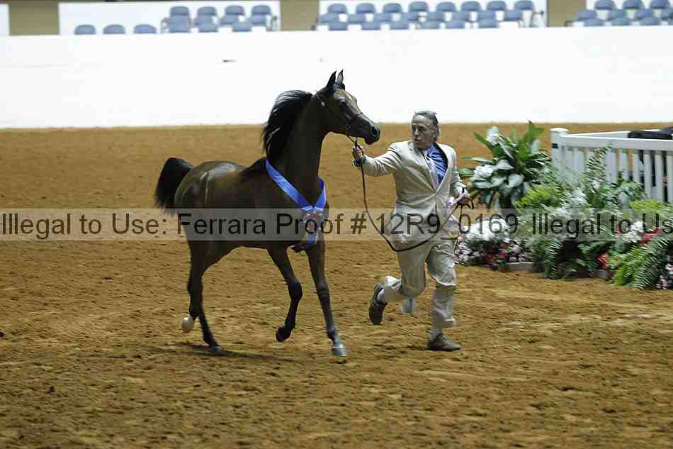Proof 12r9_0169