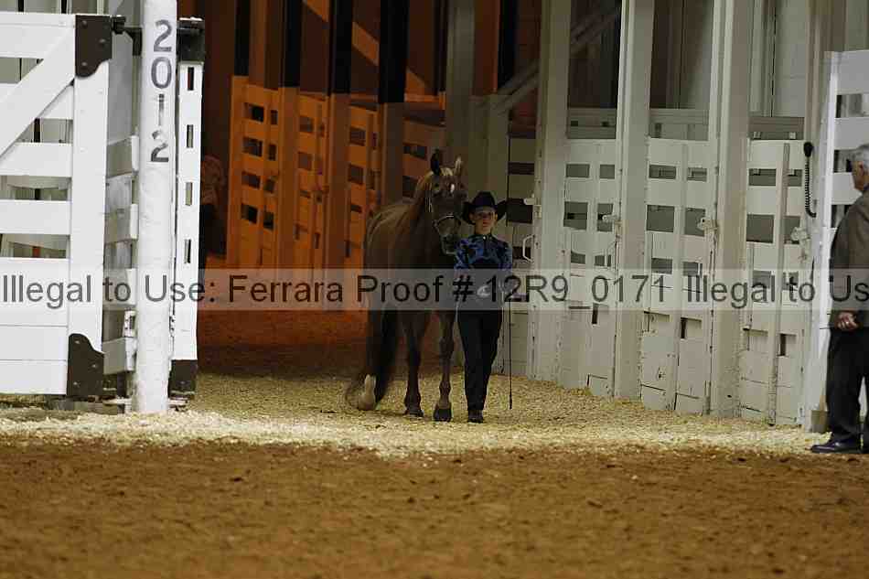 Proof 12r9_0171