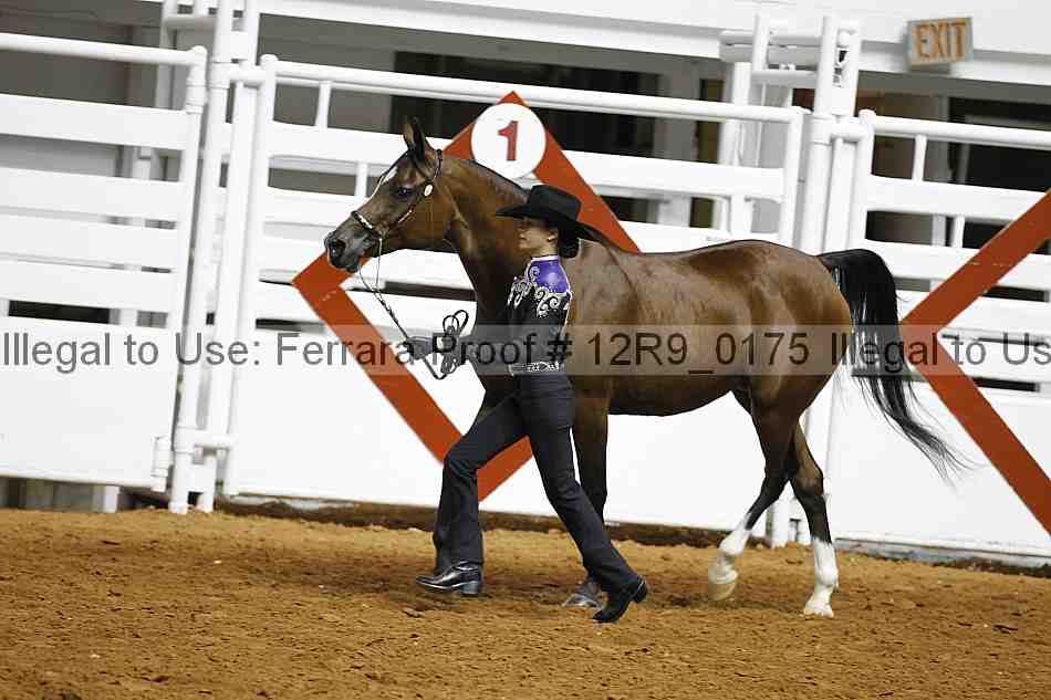 Proof 12r9_0175