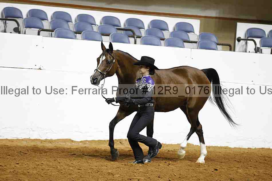 Proof 12r9_0176