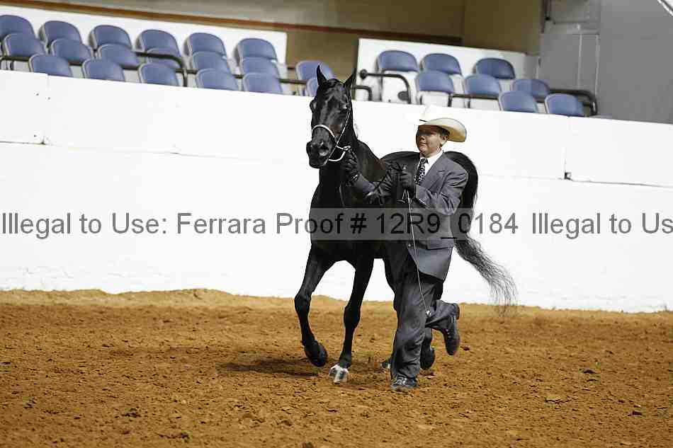 Proof 12r9_0184