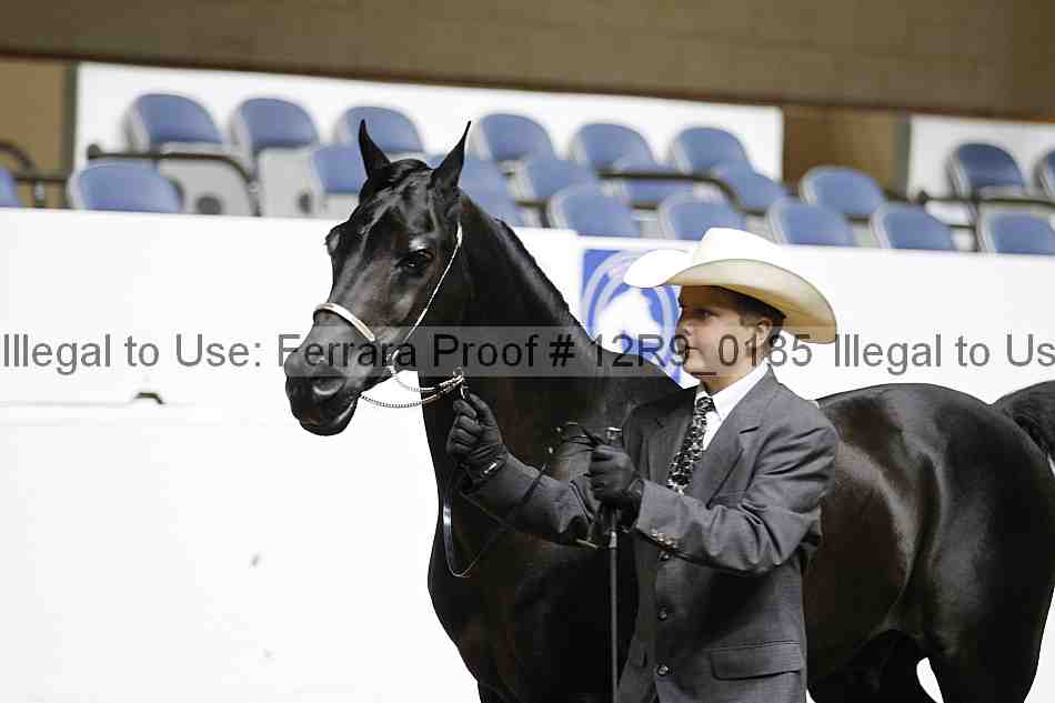 Proof 12r9_0185