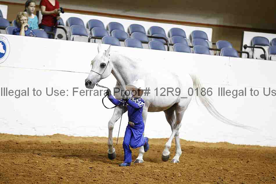 Proof 12r9_0186