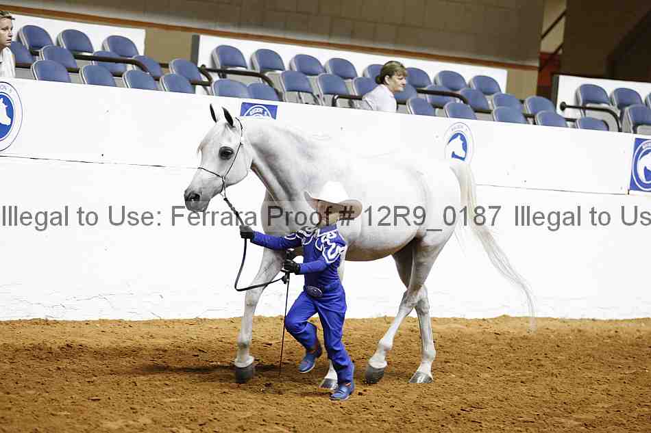 Proof 12r9_0187