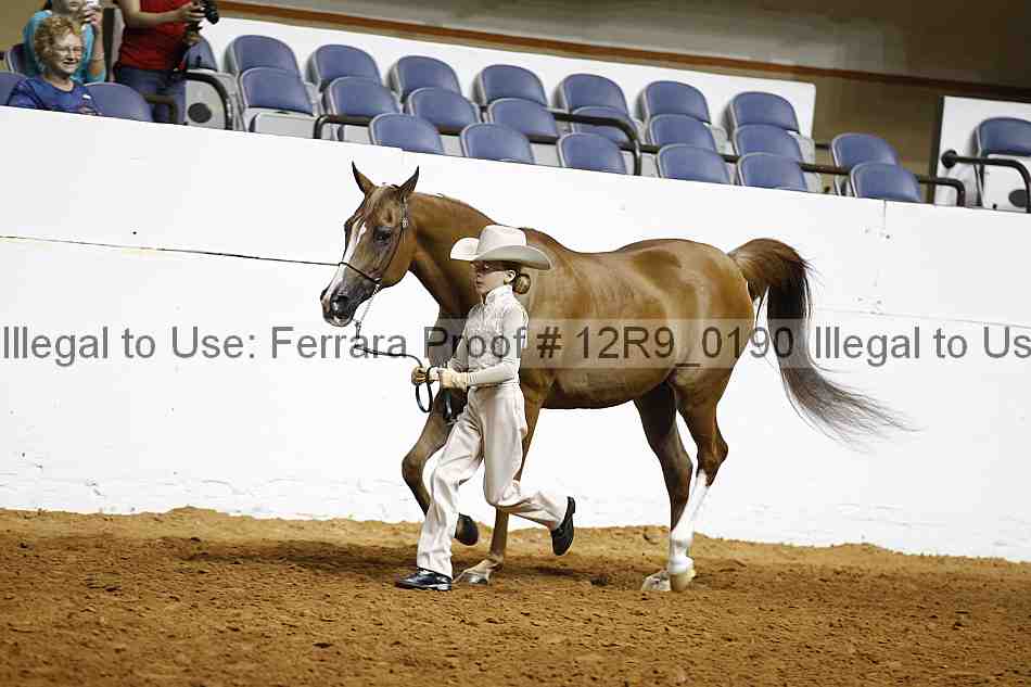 Proof 12r9_0190