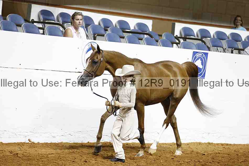 Proof 12r9_0191