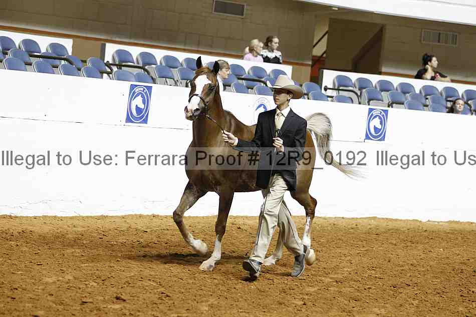 Proof 12r9_0192