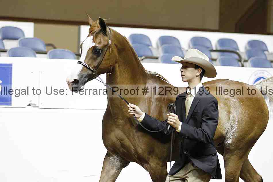 Proof 12r9_0193