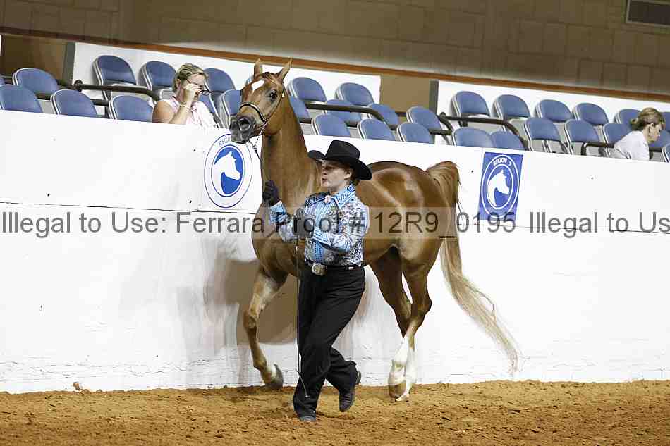 Proof 12r9_0195