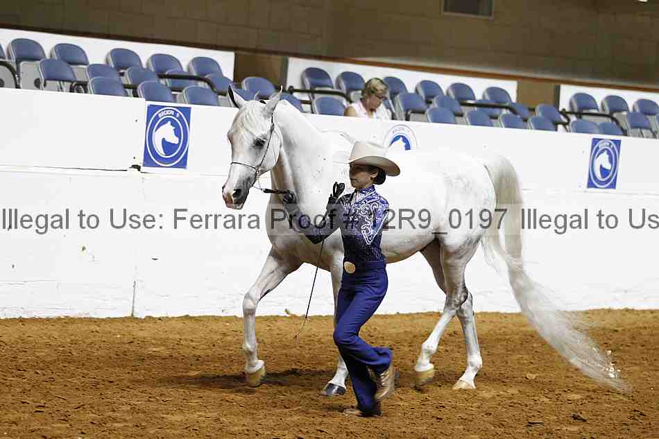 Proof 12r9_0197