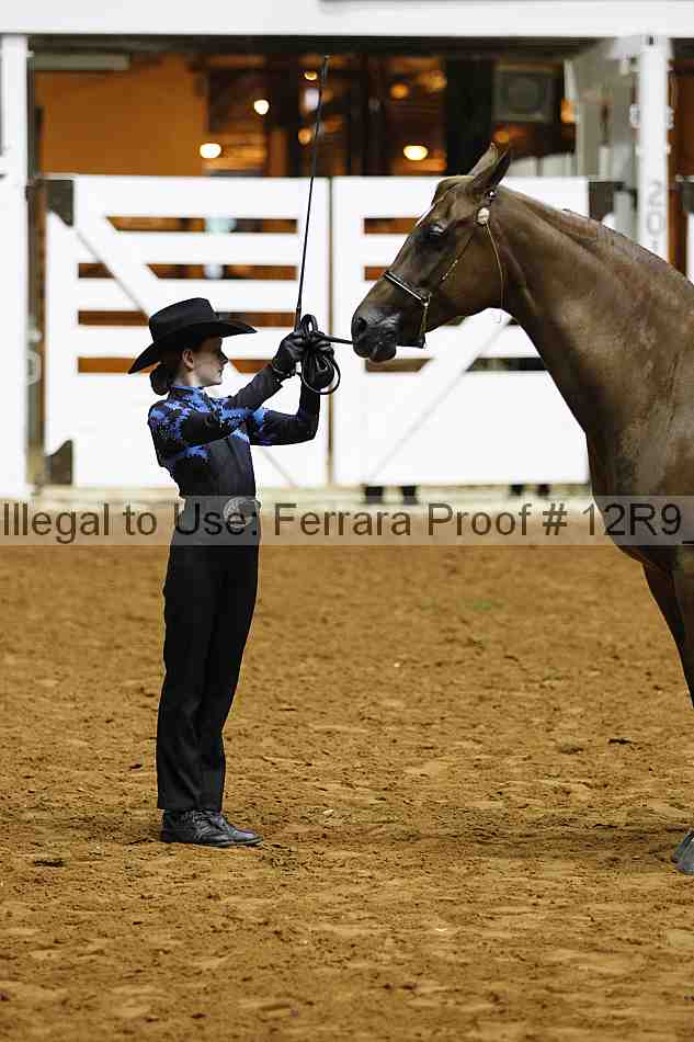 Proof 12r9_0203
