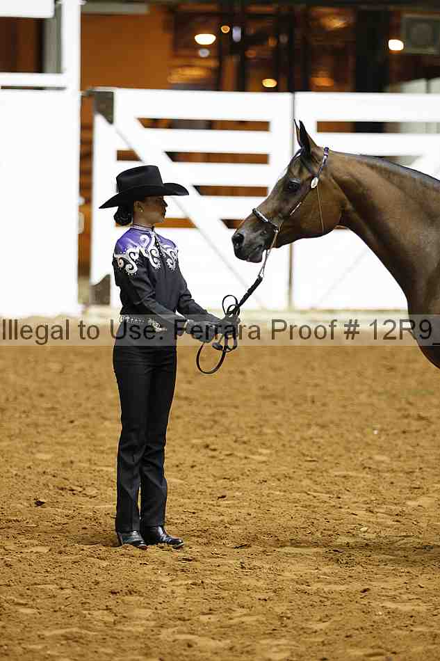Proof 12r9_0205