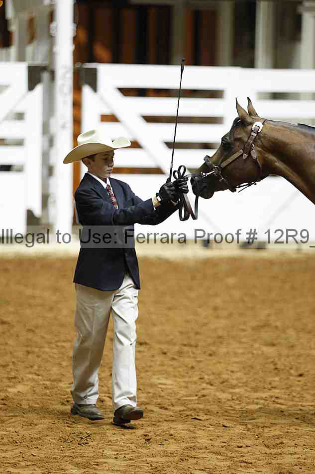Proof 12r9_0206