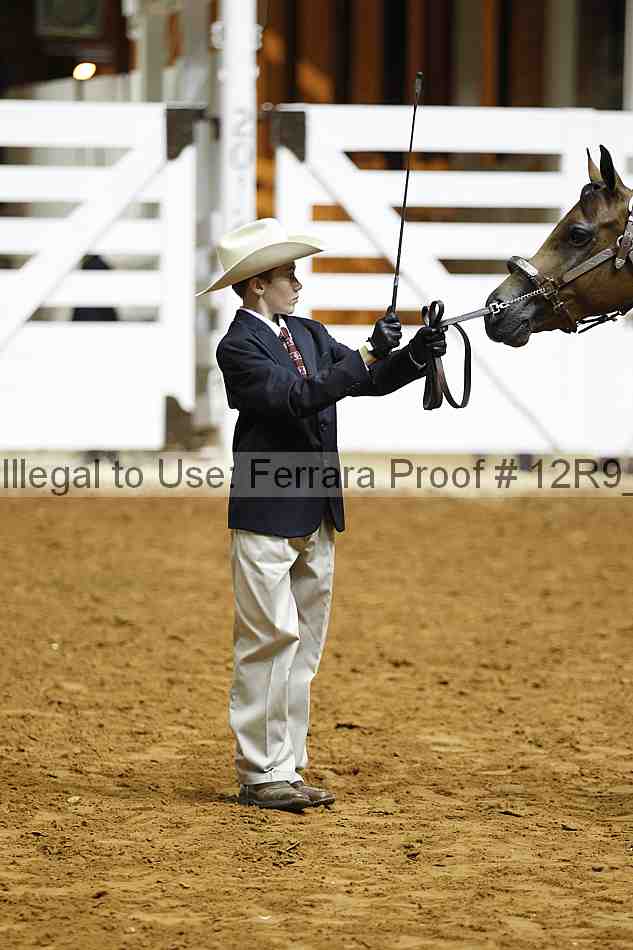 Proof 12r9_0207