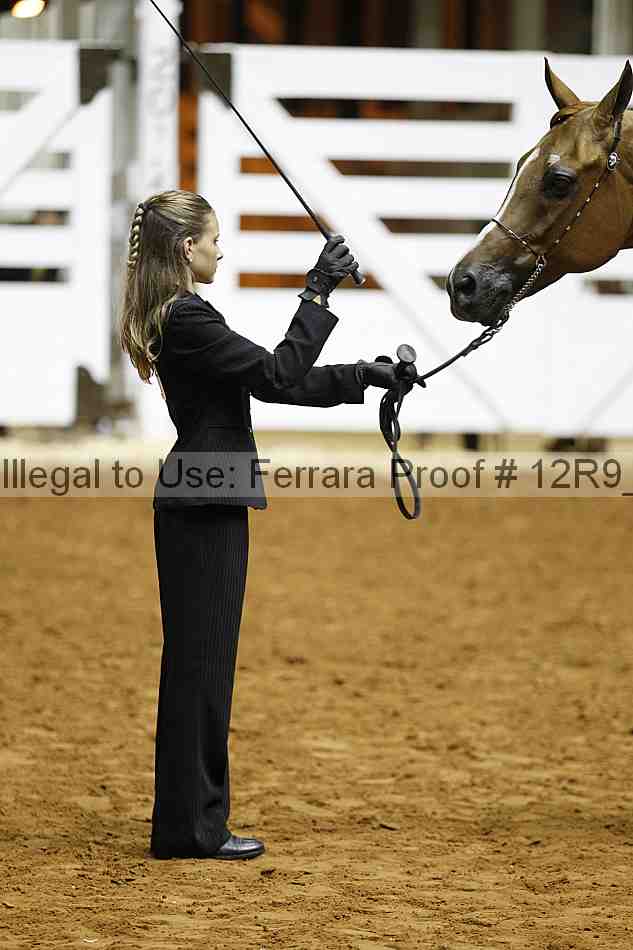 Proof 12r9_0208