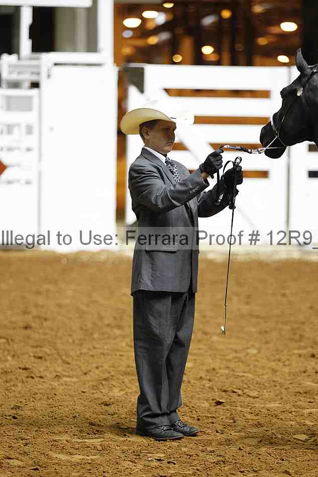 Proof 12r9_0210