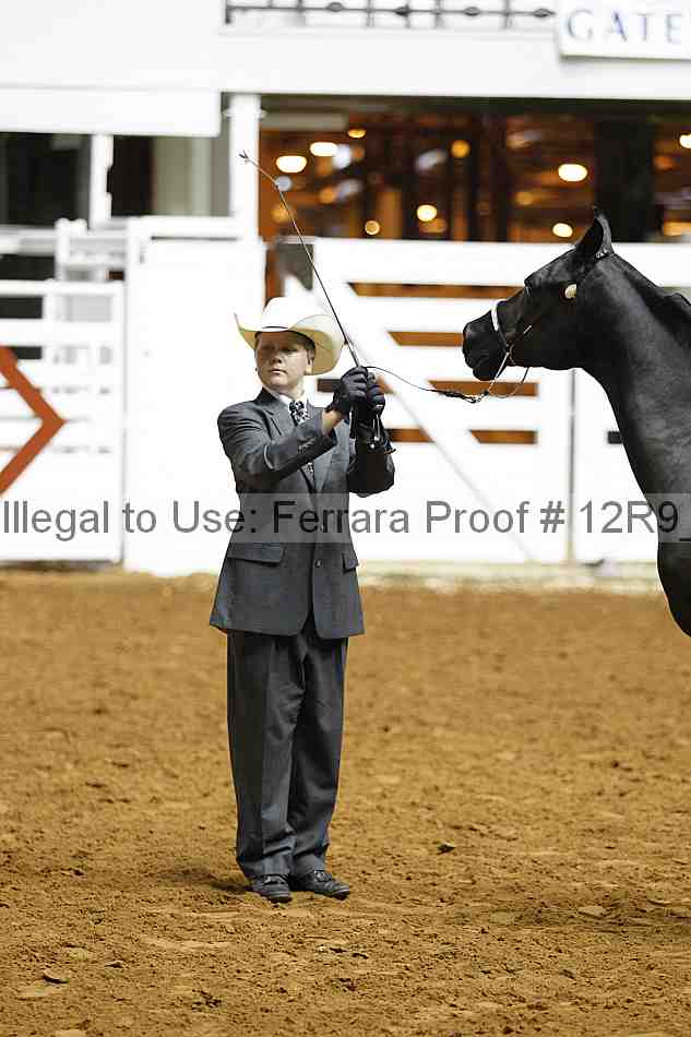Proof 12r9_0211
