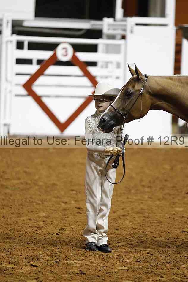 Proof 12r9_0214