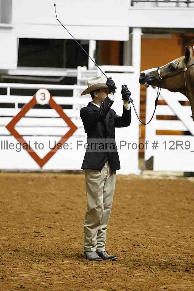 Proof 12r9_0216