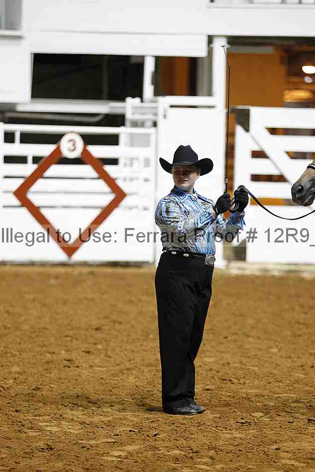 Proof 12r9_0217
