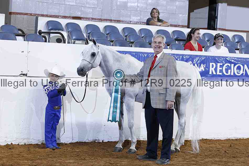 Proof 12r9_0225