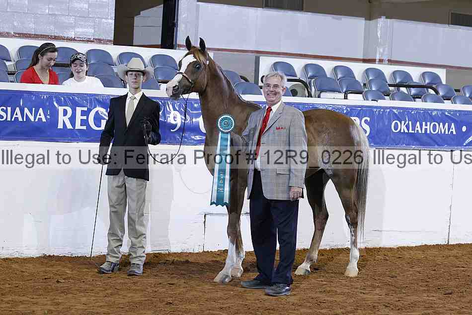 Proof 12r9_0226