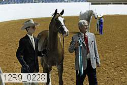 12r9_0228 proof