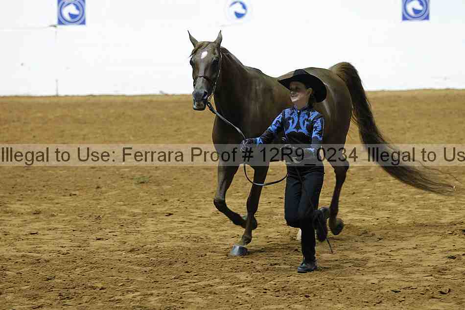 Proof 12r9_0234