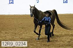 12r9_0234 proof
