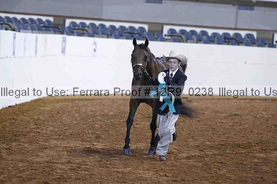 Proof 12r9_0238