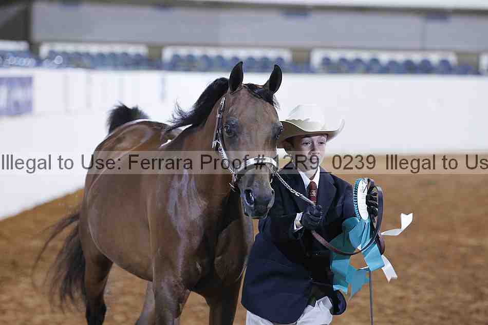 Proof 12r9_0239