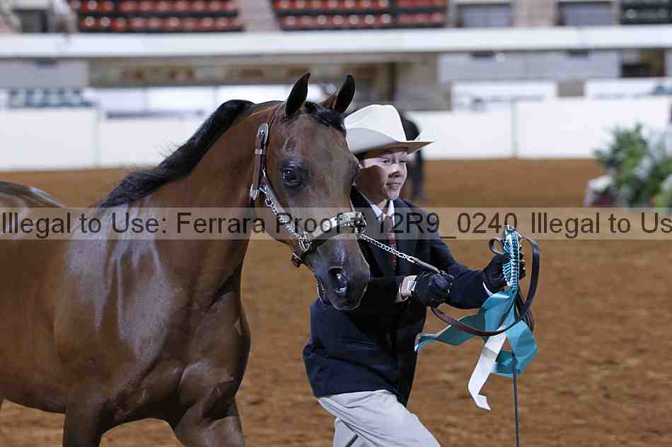 Proof 12r9_0240