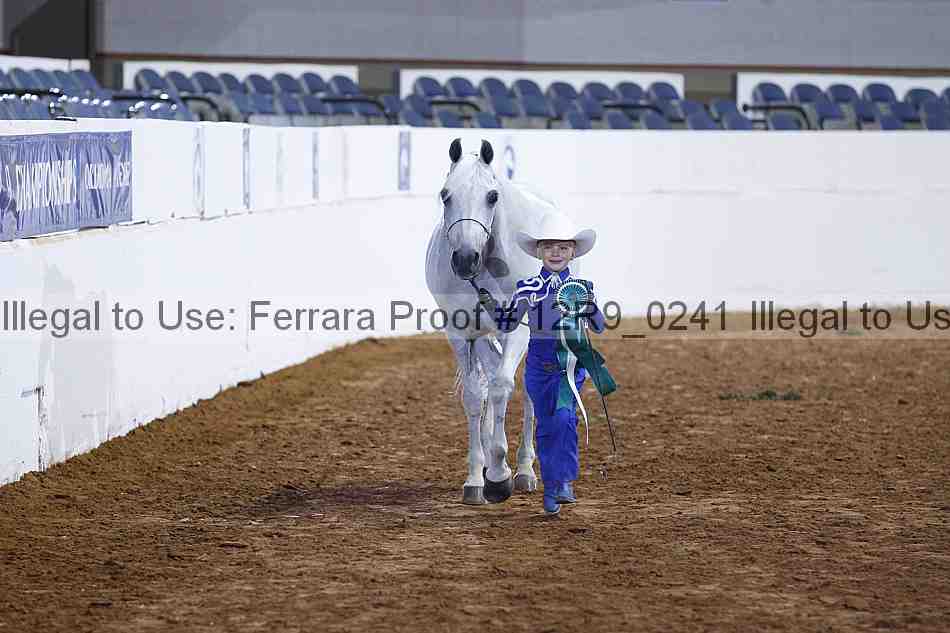 Proof 12r9_0241