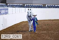 12r9_0241 proof