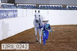 12r9_0242 proof