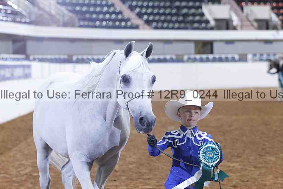 Proof 12r9_0244