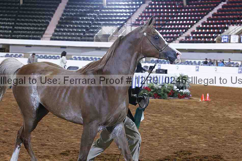 Proof 12r9_0246