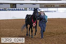 12r9_0248 proof
