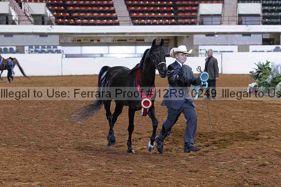 Proof 12r9_0249