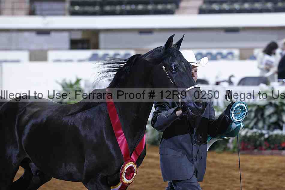 Proof 12r9_0250