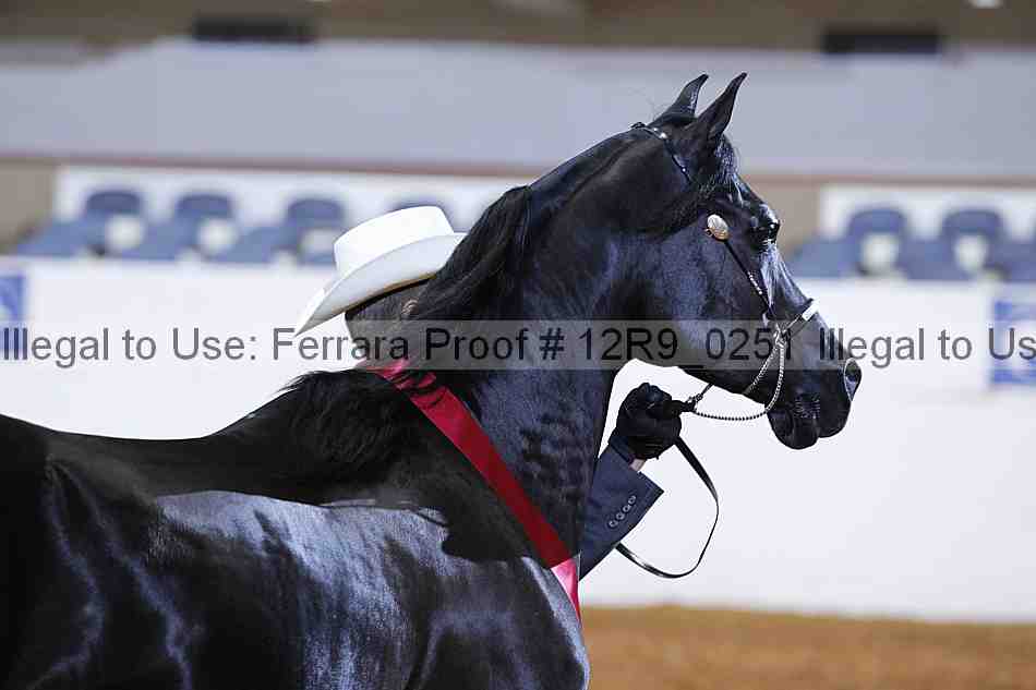 Proof 12r9_0251