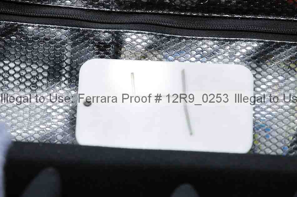 Proof 12r9_0253