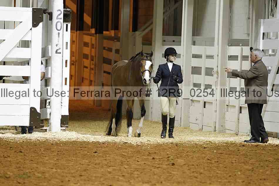 Proof 12r9_0254